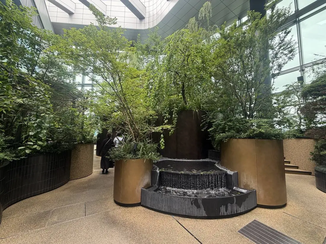 LUFTBAUMの水景と樹木